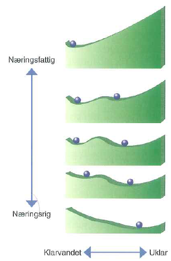 Næringsfattig-næringsrig-sø