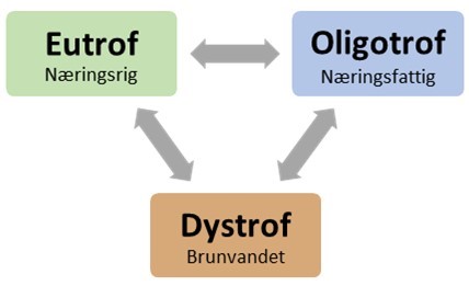 Oligotrof-eutrof-dystrof-sø Oligotrof-eutrof-dystrof-sø