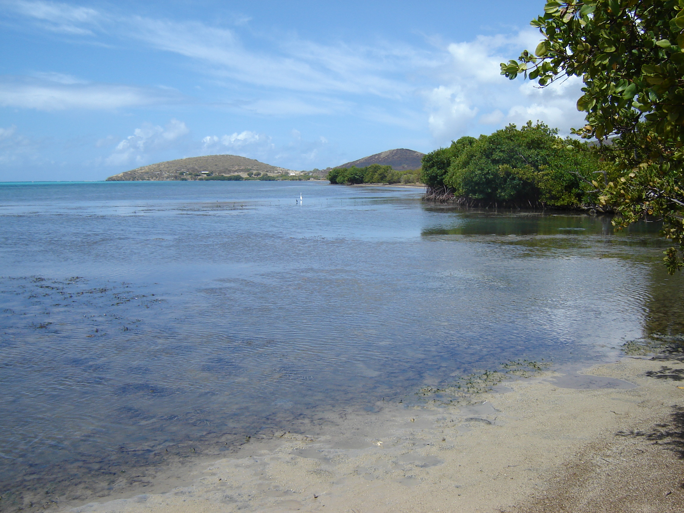 DSC01498.JPG
