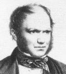 Darwin.jpg Darwin.jpg