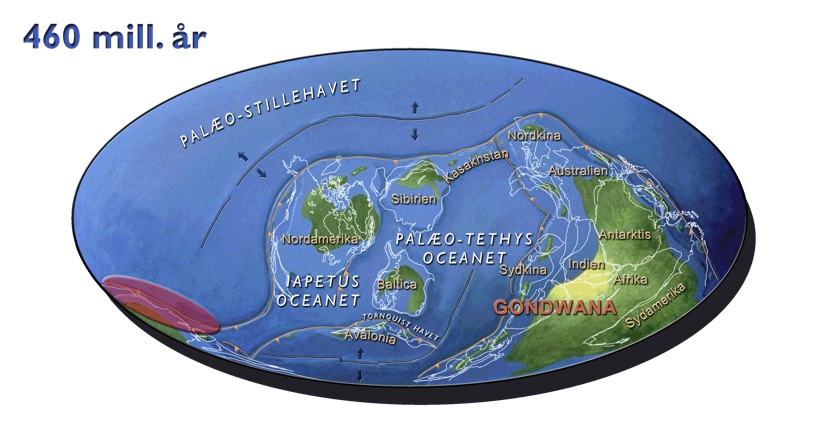 Fig1.jpg Fig1.jpg