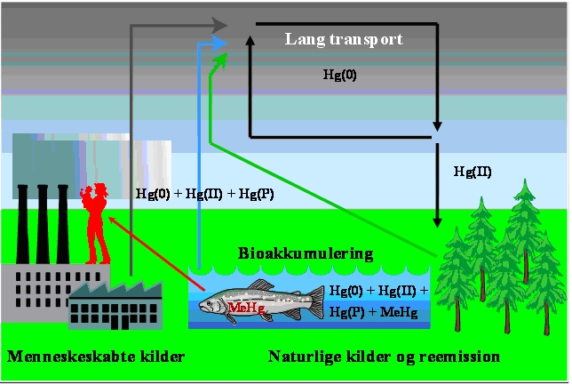Kviksølv kredsløbet.jpg