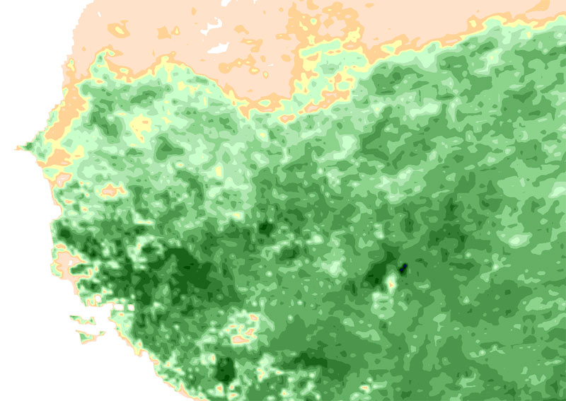 Senegal_5_L.jpg