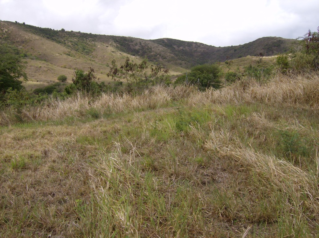 StCroix-dk_html_m46c0fd45.jpg StCroix-dk_html_m46c0fd45.jpg