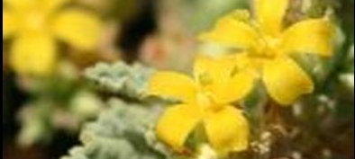 fig1-crop.jpg fig1-crop.jpg