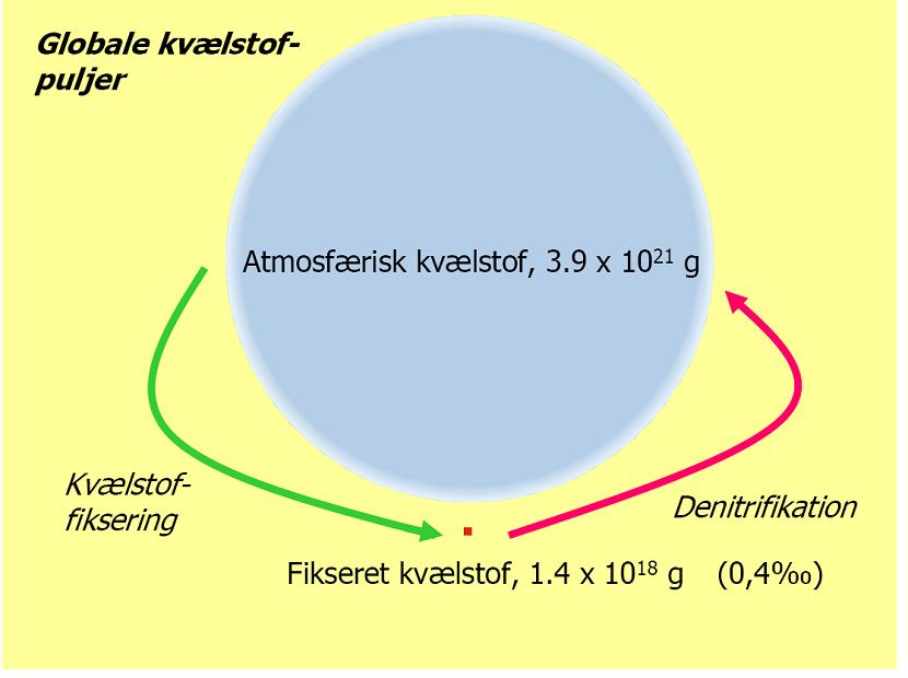 fig2.jpg fig2.jpg