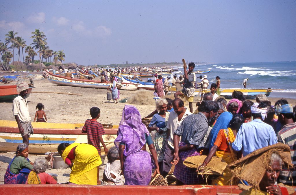fiskernes_strand_aaret_2003___010.jpg fiskernes_strand_aaret_2003___010.jpg