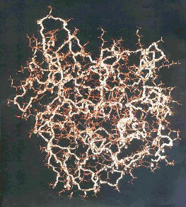 p22.JPG