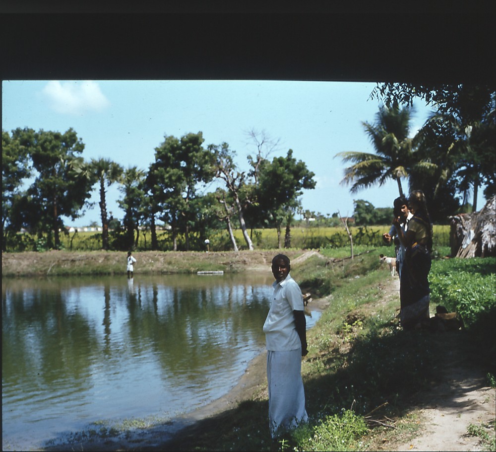 tran-02-tropisk_klima_1981_omegn_dias__8_.jpg tran-02-tropisk_klima_1981_omegn_dias__8_.jpg