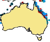 Fig13.koraller i australien.jpg