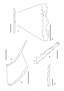 Fig14.jpg