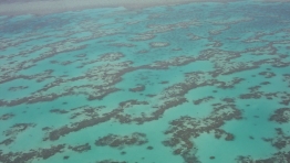 Fig02_GBR_from_Helecopter_800.jpg