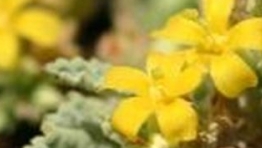 fig1-crop.jpg